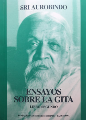 Ensayos sobre La Gita. Tomo II